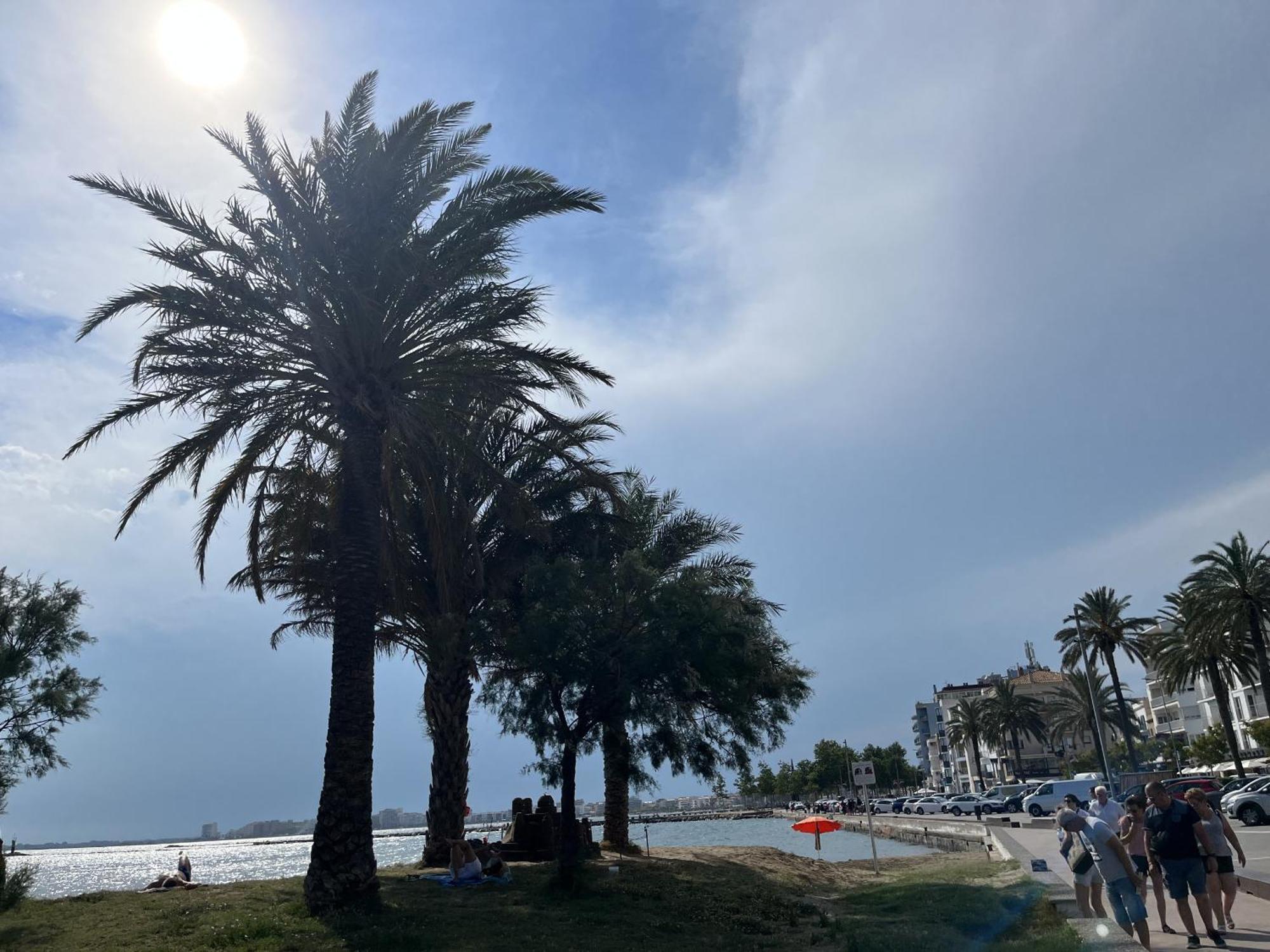 Apartament Castell Joncar,30 M De La Playa, 1Era Linea De Mar, Vista Al Mar Roses Zewnętrze zdjęcie